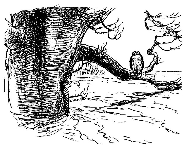 illus102.jpg