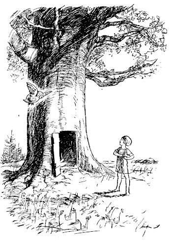 illus104.jpg
