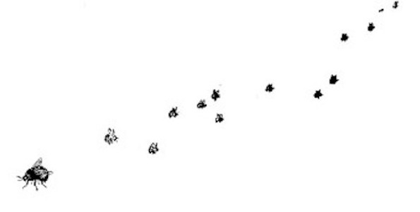illus15.jpg