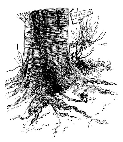 illus26.jpg