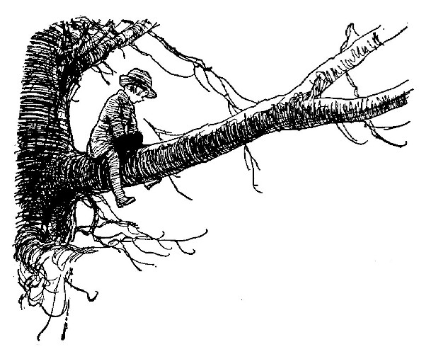 illus31.jpg