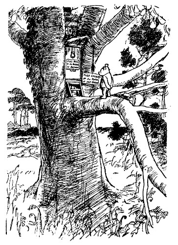 illus37.jpg