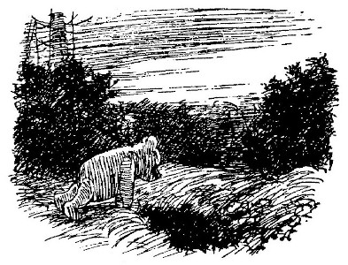 illus48.jpg