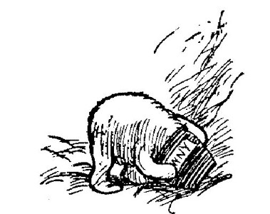 illus49.jpg