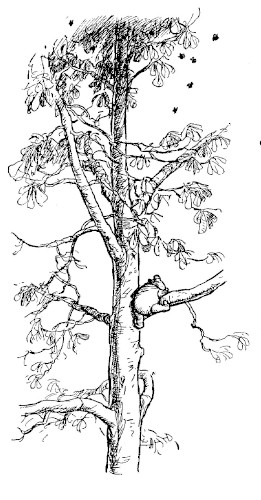 illus5.jpg