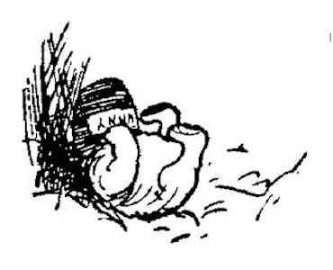 illus54.jpg