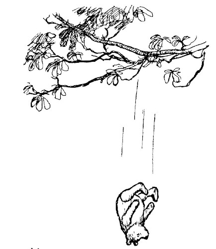 illus6.jpg