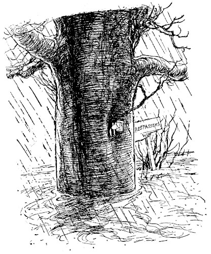 illus91.jpg