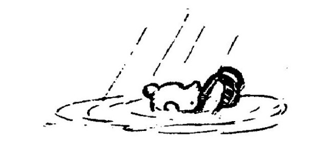 illus94.jpg